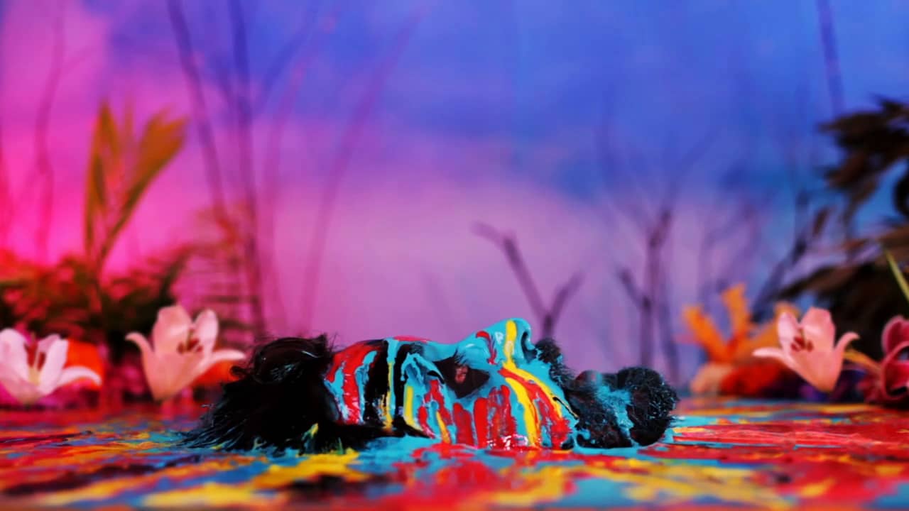 Get Tanked up with Conor Finnegan in his Colourful Music Video for Jape -  Directors Notes