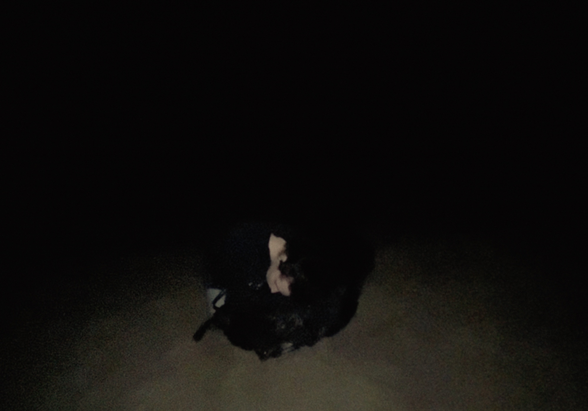 Premiere Godless Animals By Lorenzo Gonnelli Thriller